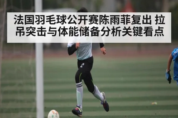 法国羽毛球公开赛陈雨菲复出 拉吊突击与体能储备分析关键看点
